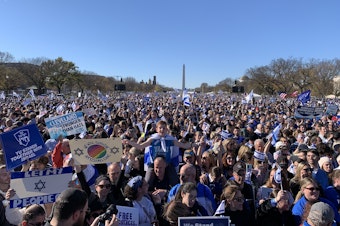 caption: Tens of thousands of demonstrators gathered on the National Mall in Washington, D.C. on Tuesday for a pro-Israel march demanding the release of hostages being held in Gaza.