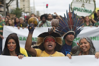 caption: Indigenous people protest in defense of the Amazon in Rio de Janeiro on Sunday. Experts from the country's satellite monitoring agency say most of the fires are set by farmers or ranchers clearing existing farmland, but the same monitoring agency has reported a sharp increase in deforestation this year as well.