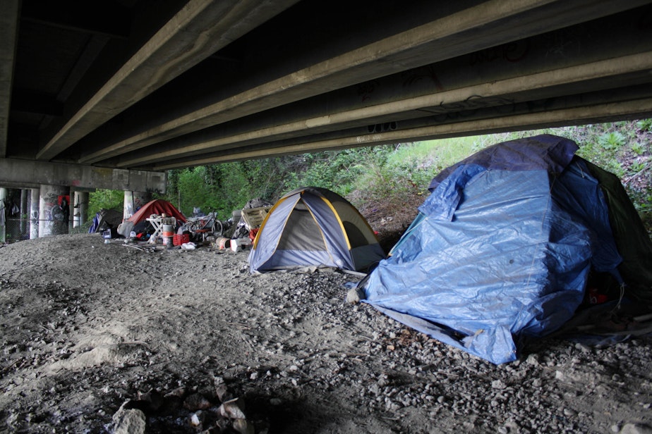 caption: Tents lined up in the Jungle, which extends north and south under Seattle's Interstate 5 corridor.