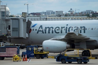 caption: An American Airlines plane is seen at a gate at Ronald Reagan Washington National Airport in Arlington, Va., on May 12, 2020.