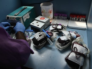 caption: A worker separates bags of donated blood at a campaign organized by the Rotary Blood Bank in New Delhi, India.