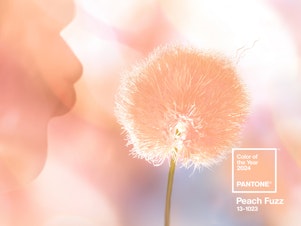 caption: An influential color consultancy has already set the tone for the year ahead: Pantone's Color of the Year for 2024 is Peach Fuzz.