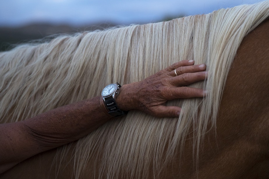 caption: Julie Hensley pets the mane of her horse, Hot Rod, on Tuesday, July 16, 2019, at her home in Brewster. "I think because the horse sees, it makes me feel like I'm not blind," Hensley said. "It makes me feel a real freedom." 