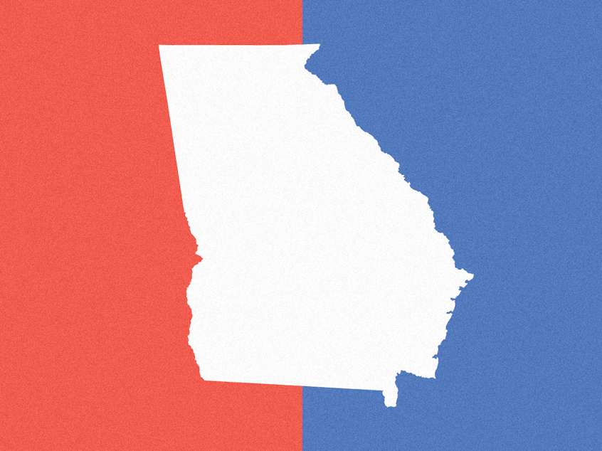 Georgia State Election Results 2020