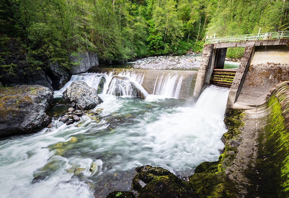 caption: The Middle Fork Nooksack Dam.