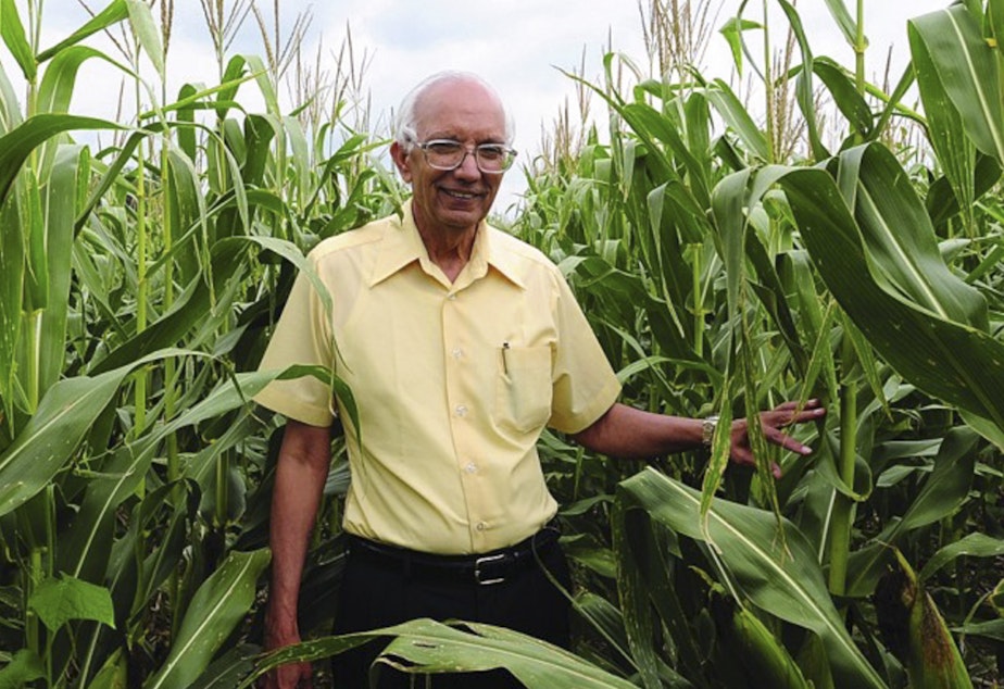 caption: Rattan Lal in an Ohio cornfield. The soil scientist is this year's World Food Laureate, earning a quarter of a million dollar prize for his pioneering work in soil improvement.