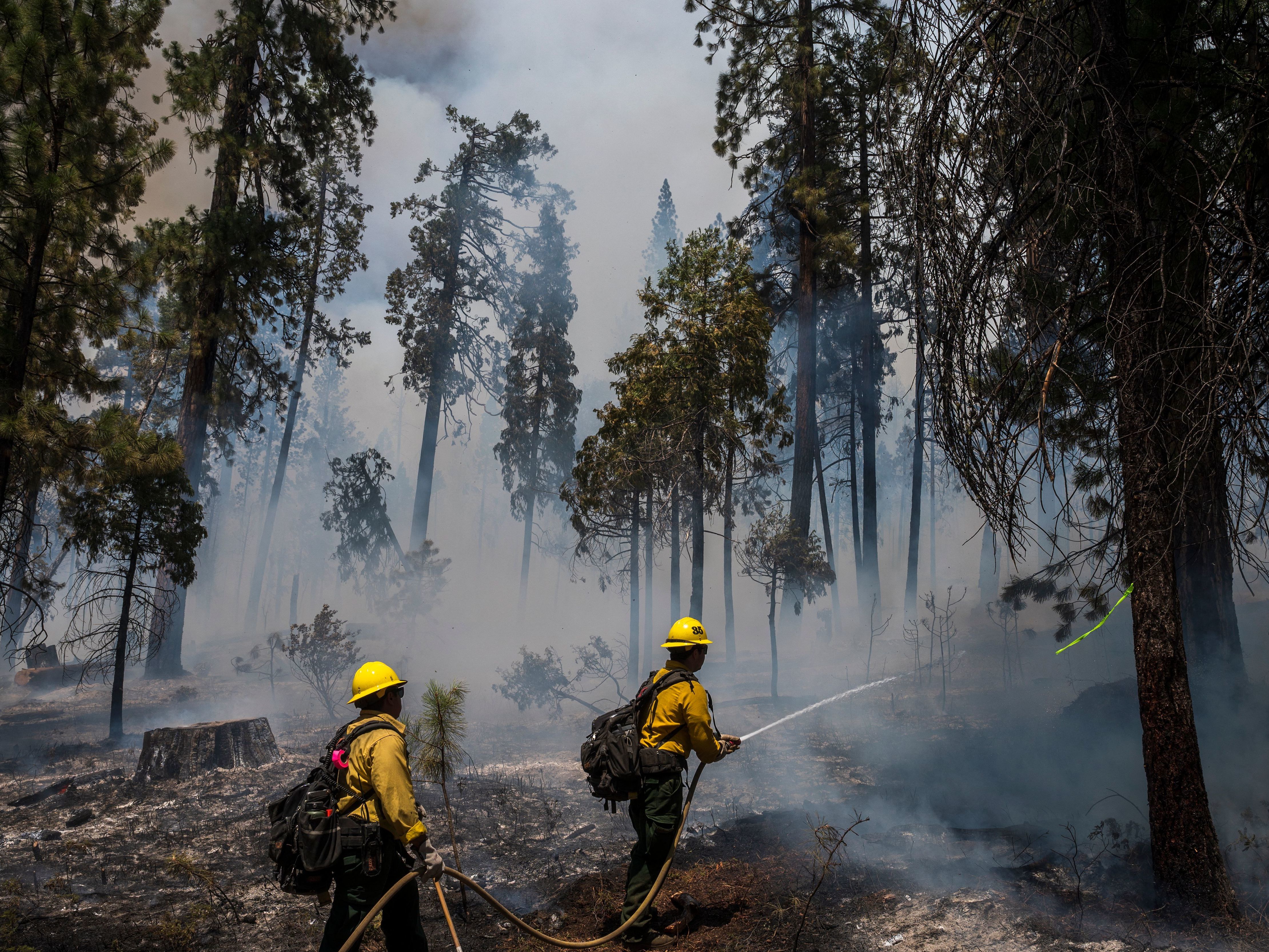 caption: Firefighters put out hot spots from the Washburn Fire in Yosemite National Park, Calif., on July 11.