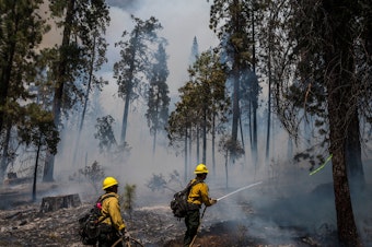 caption: Firefighters put out hot spots from the Washburn Fire in Yosemite National Park, Calif., on July 11.