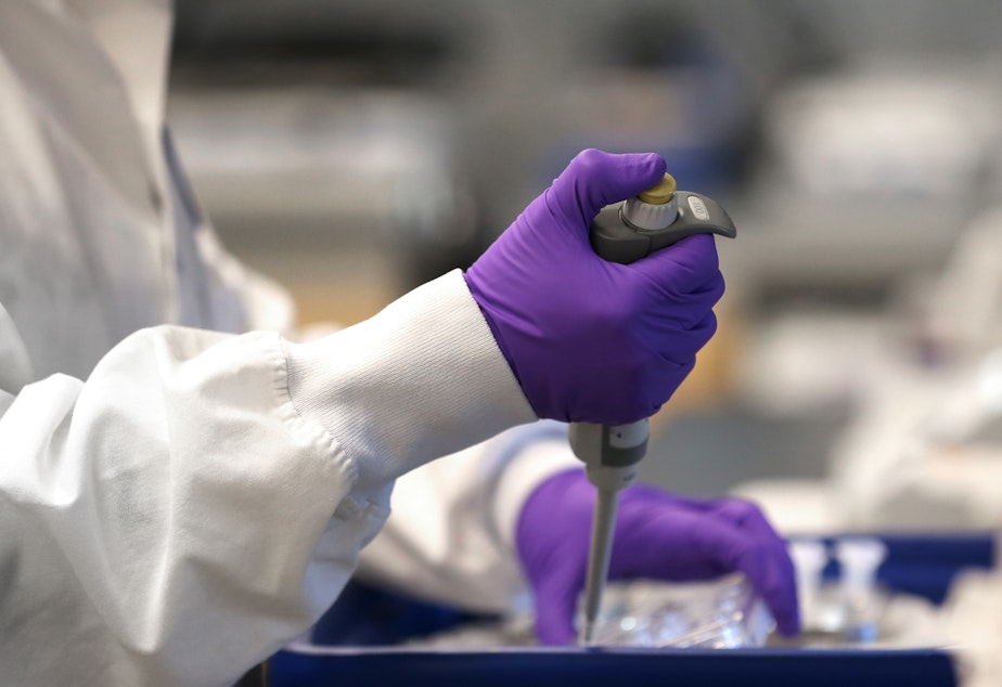 caption: A scientist works in a lab at Moderna in Cambridge, Mass., in February. Moderna has developed an experimental coronavirus medicine, but an approved treatment could be more than a year away.