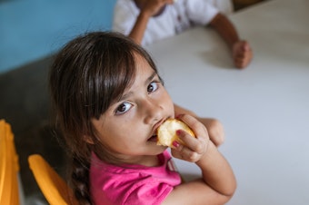 caption: A student at Professor Lourdes Heredia Mello Municipal School in São Paulo enjoys an apple for dessert after lunch. Brazil's school lunch program, enshrined in its constitution, is a pillar of the country's anti-poverty efforts.