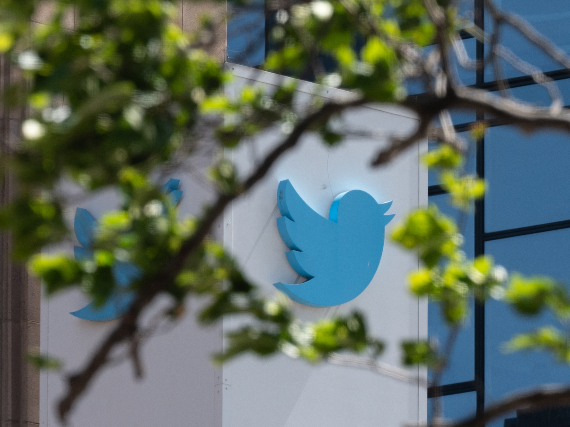 caption: Elon Musk's acquisition of Twitter has spurred many longtime users to look for alternative social networks.