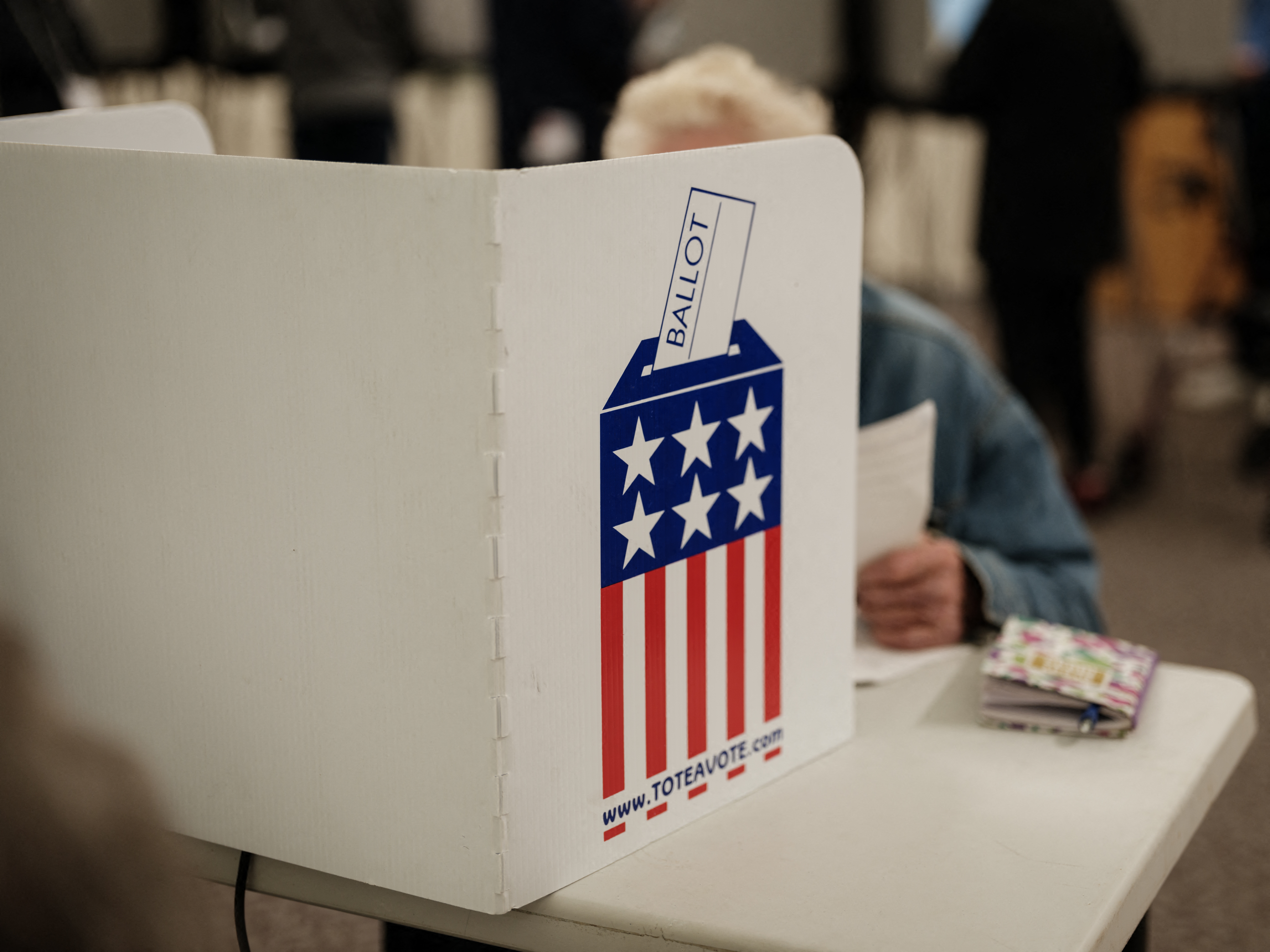 caption: A man votes at a public library turned into an early voting polling station in Black Mountain, N.C., on Oct. 29.