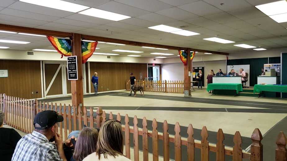 caption: Jordan Dove working with Koda at the Washington State Fair in Puyallup on Wednesday, September 11, 2019.