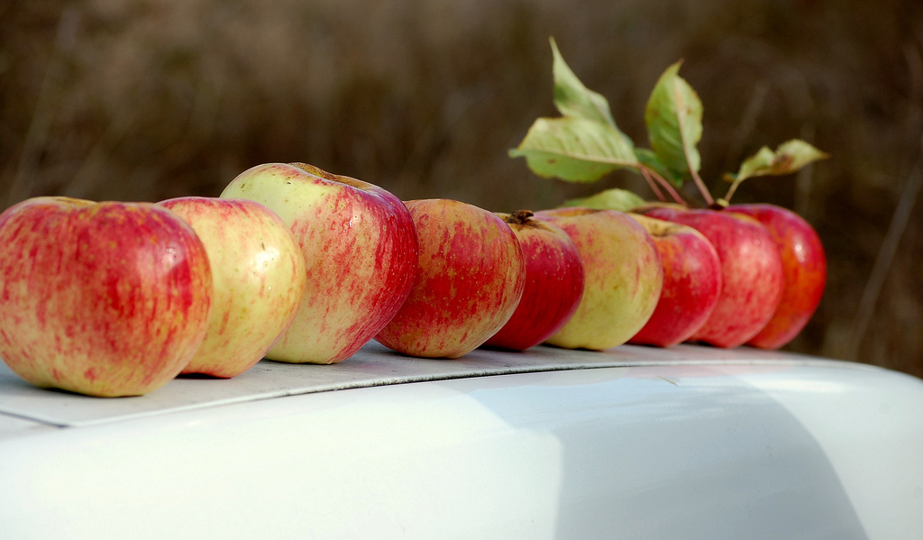 caption: 'Apple beauty contest'