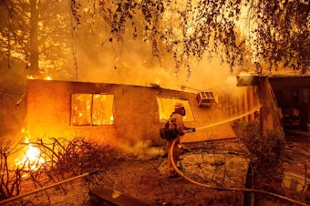 caption: Firefighters battle flames at a burning apartment complex in Paradise, Calif., in November. State fire officials say power lines coming into contact with trees have sparked multiple Northern California wildfires in recent years. PG&E filed for bankruptcy on Tuesday. CREDIT: JOSH EDELSON/AFP/GETTY IMAGES