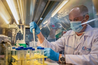 caption: Gerhardt Boukes, chief scientist at Afrigen Biologics and Vaccines, formulates mRNA for use in a vaccine against COVID-19. The company — based in Cape Town, South Africa — is the linchpin of a global project to enable low- and middle-income countries to make mRNA vaccines against all manner of diseases.