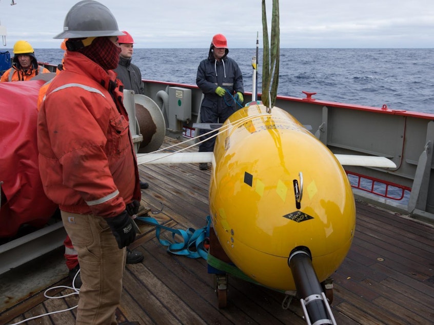 caption: Boaty McBoatface, an autonomous submarine vehicle, had a successful first mission taking measurements deep in the Southern Ocean.