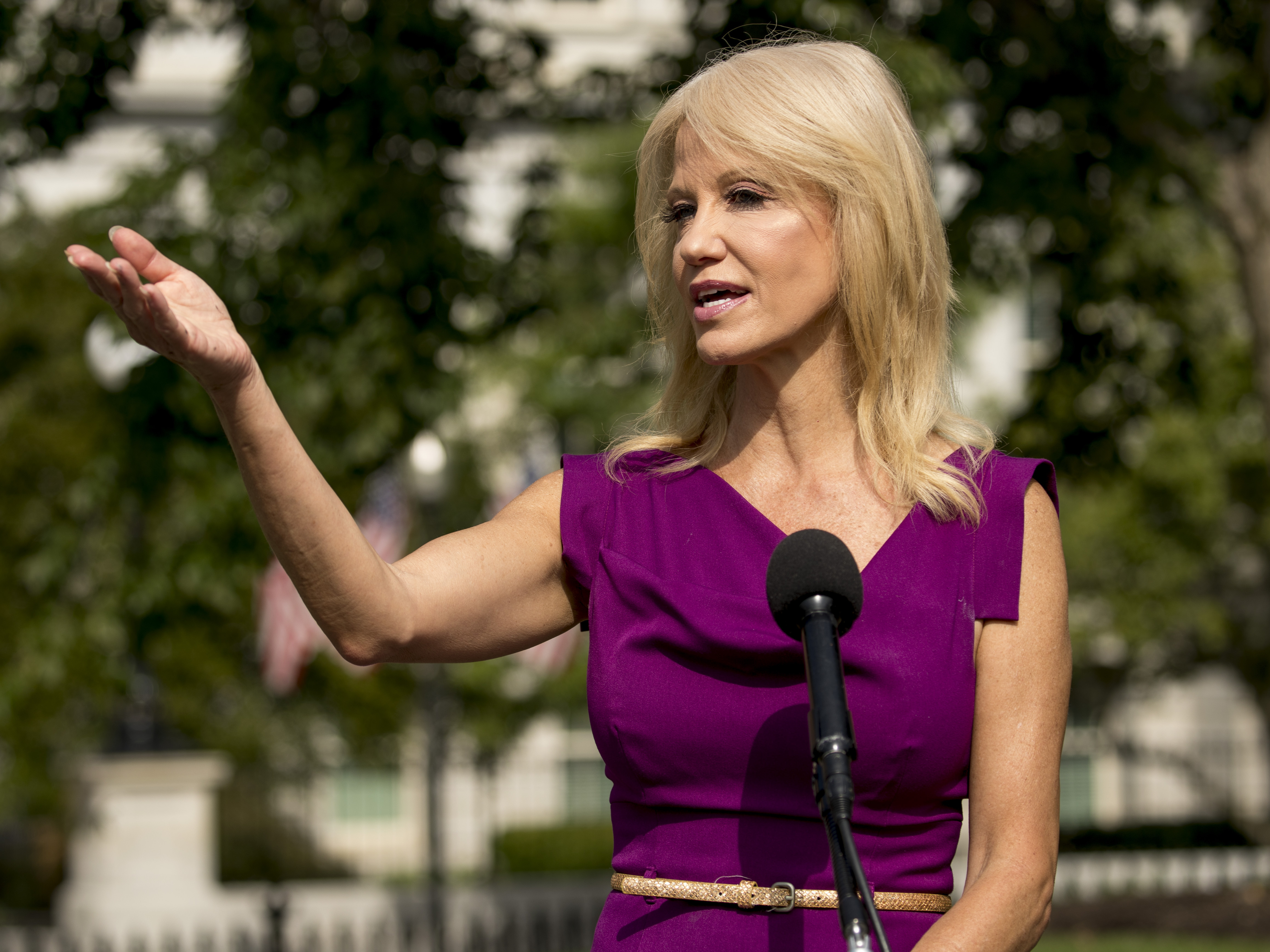 caption: Counselor to the president Kellyanne Conway speaks to reporters outside the West Wing of the White House in Washington, D.C., earlier this month.