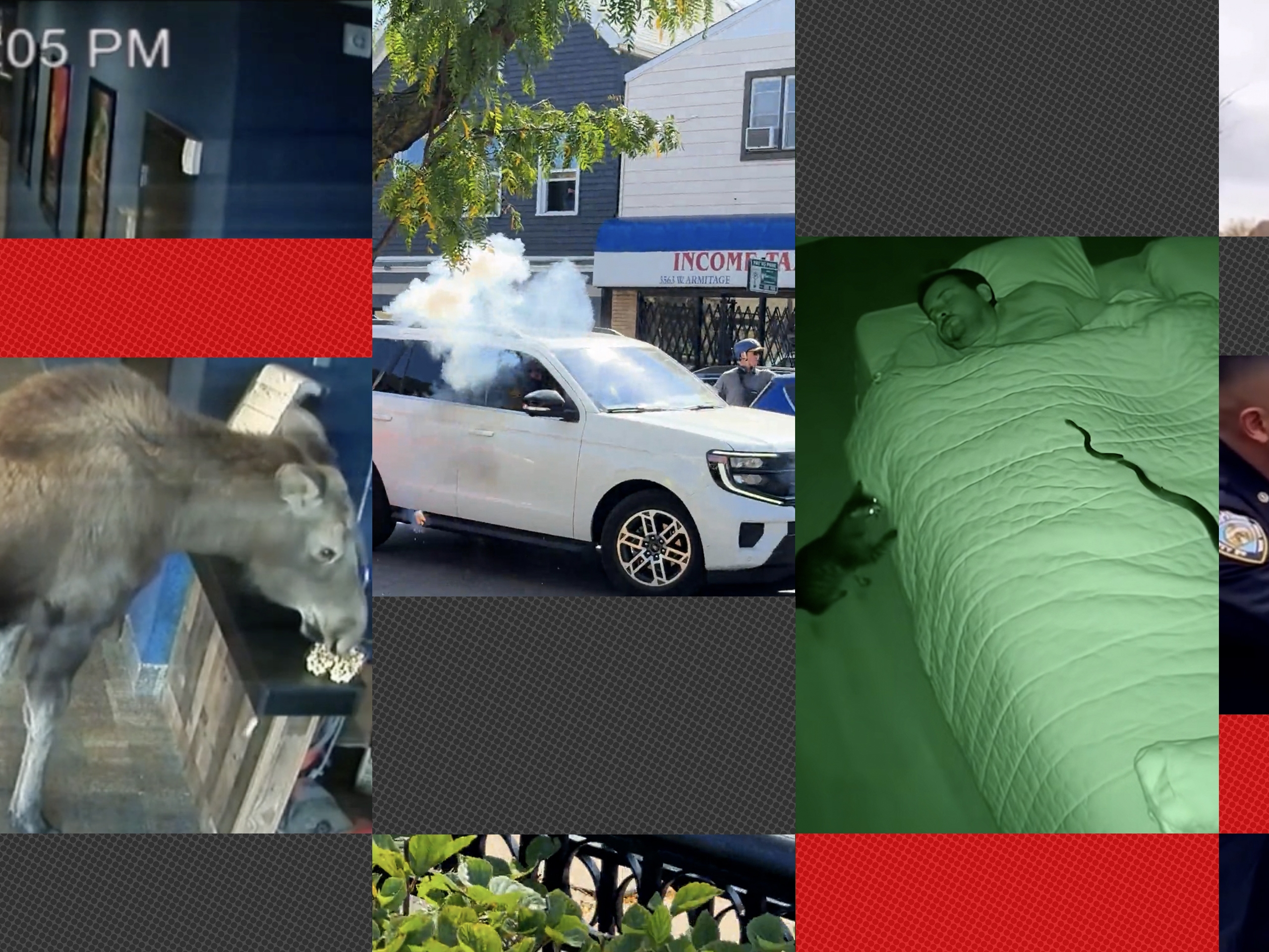 caption: Can you identify which videos are real and which are AI-generated?