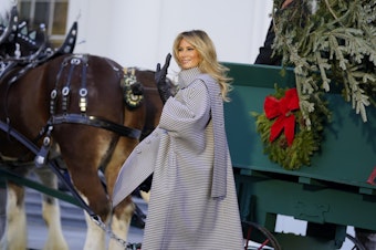 caption: First lady Melania Trump waves as she stands next to the 2020 Official White House Christmas tree as it is presented on the North Portico of the White House, Monday, Nov. 23, 2020, in Washington. (AP Photo/Andrew Harnik)
