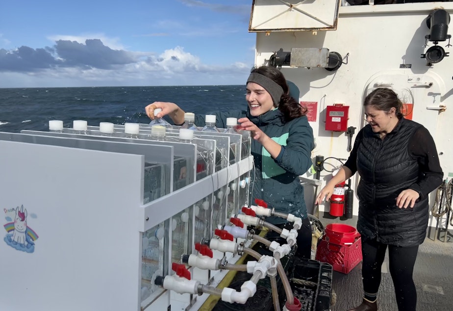 caption: Rebecca Smoak, a graduate researcher at Oregon State University, and Maria Kavanaugh, an assistant professor at OSU, place plastic Nalgene bottles in an incubator to grow phytoplankton on the Bell M. Shimada, a National Oceanic and Atmospheric Administration research vessel.