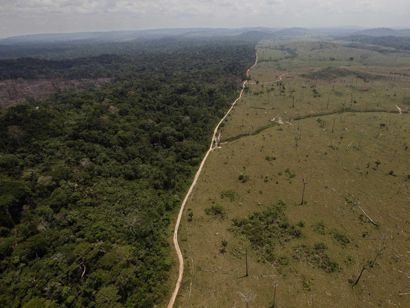 caption: Large swaths of forest have been cut down in Brazil in recent decades to make room for farming. Deforestation contributes to global warming, and reversing it will be necessary to avoid catastrophic climate change.