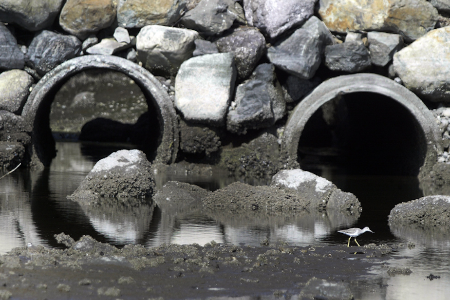 caption: A pair of culverts near Silverdale, Wash. 