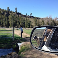 caption: Liza Jane McAlister of Oregon opens a gate for the hay truck on 6 Ranch as her herding dog looks on from the back. 