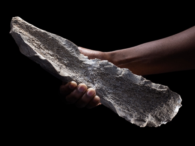 caption: This photo shows a carved bone tool made from an elephant humerus dating back 1.5 million years.
