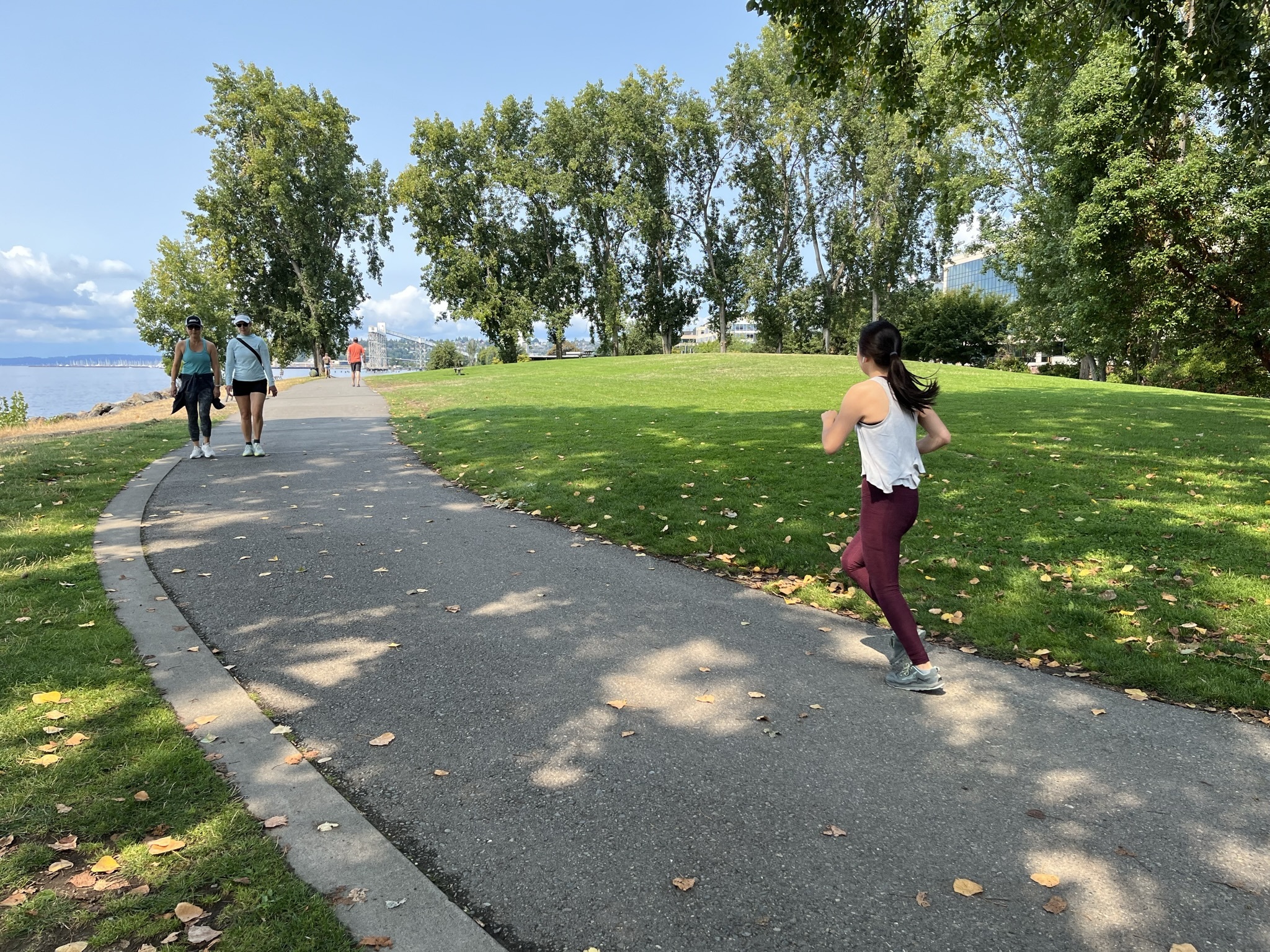 caption: A $45 million donation from private parties will pay for upgrades to Myrtle Edwards Park and Centennial Park, part of the chain of waterfront parks that stretch from Seattle's Pioneer Square to nearly Magnolia.
