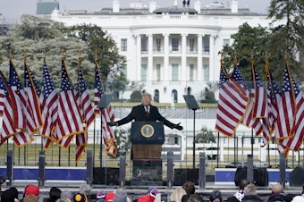caption: Then-President Donald Trump speaks at a rally on the Ellipse in Washington, D.C., on Jan. 6, 2021.