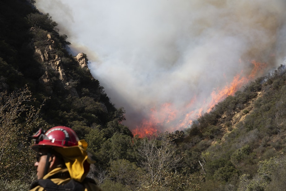 caption: A firefighter monitors a wildfires burning along a hillside Sunday, Nov. 11, 2018, in Malibu, Calif. Fire officials say the lull allowed firefighters to gain 10 percent control of the so-called Woolsey fire, which has burned more than 130 square miles in western Los Angeles County and southeastern Ventura County since Thursday. (Jae C. Hong/AP)