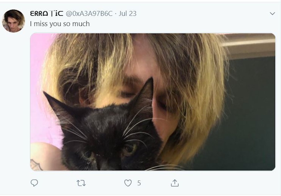 caption: A photo that Paige Thompson posted to her Twitter page of herself with her cat Millie, who died less than a week before Thompson was arrested for allegedly hacking Capital One. Thompson lived in a house on Beacon Hill at the time of her arrest.