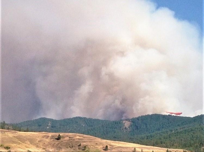 caption: The Williams Flats Fire started from a lightning strike Aug. 2, 2019 near Keller, Washington, on the reservation of the Colville Confederated Tribes.