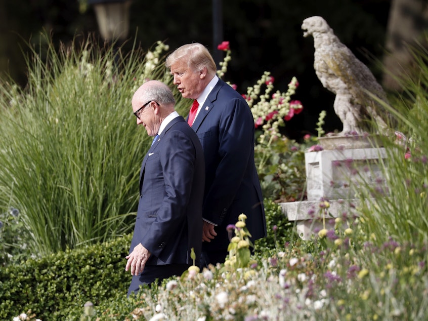 caption: President Trump walks with U.S. Ambassador Robert Wood "Woody" Johnson IV in London in July 2018.