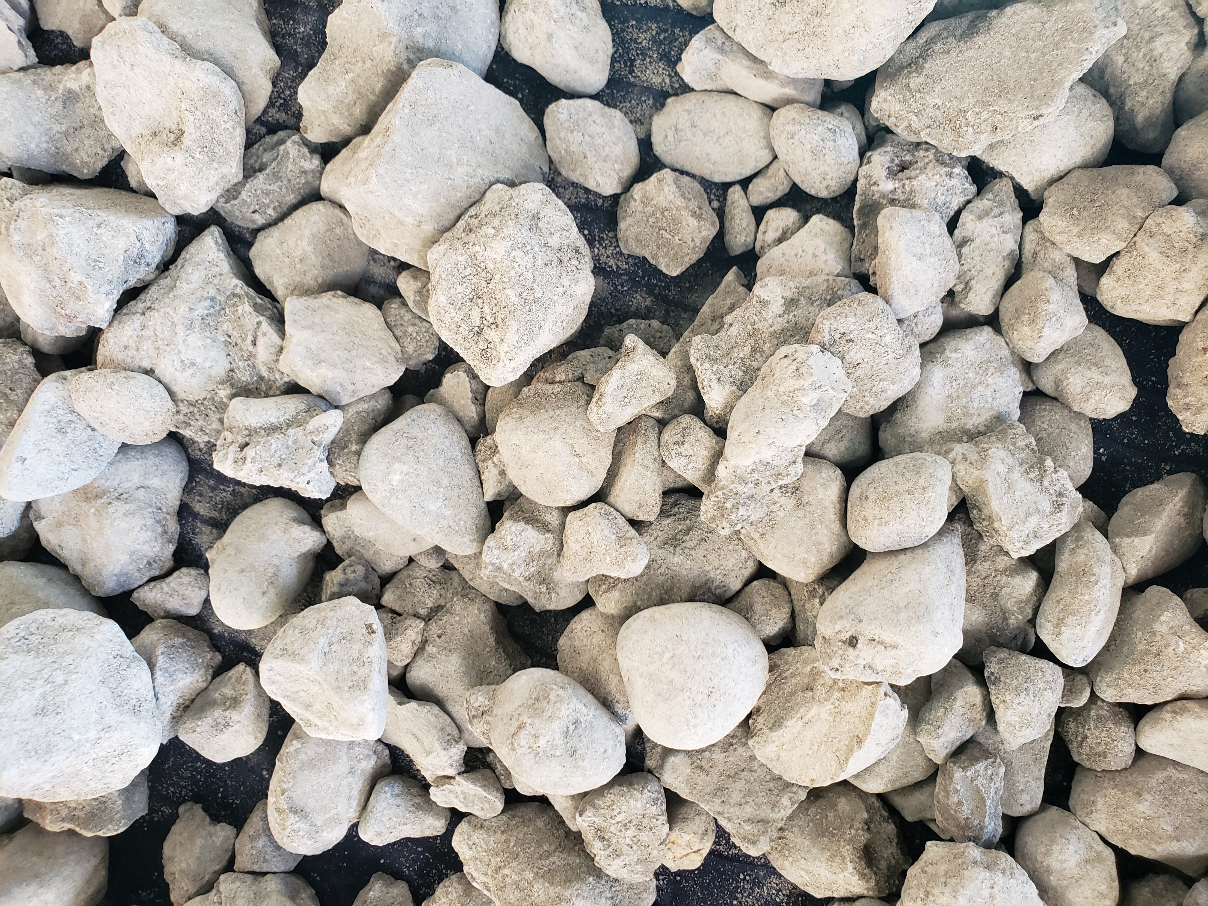 caption: Washington State Department of Transportation started giving away free pieces of the demolished Alaskan Way Viaduct on Wednesday, November 20th, 2019.