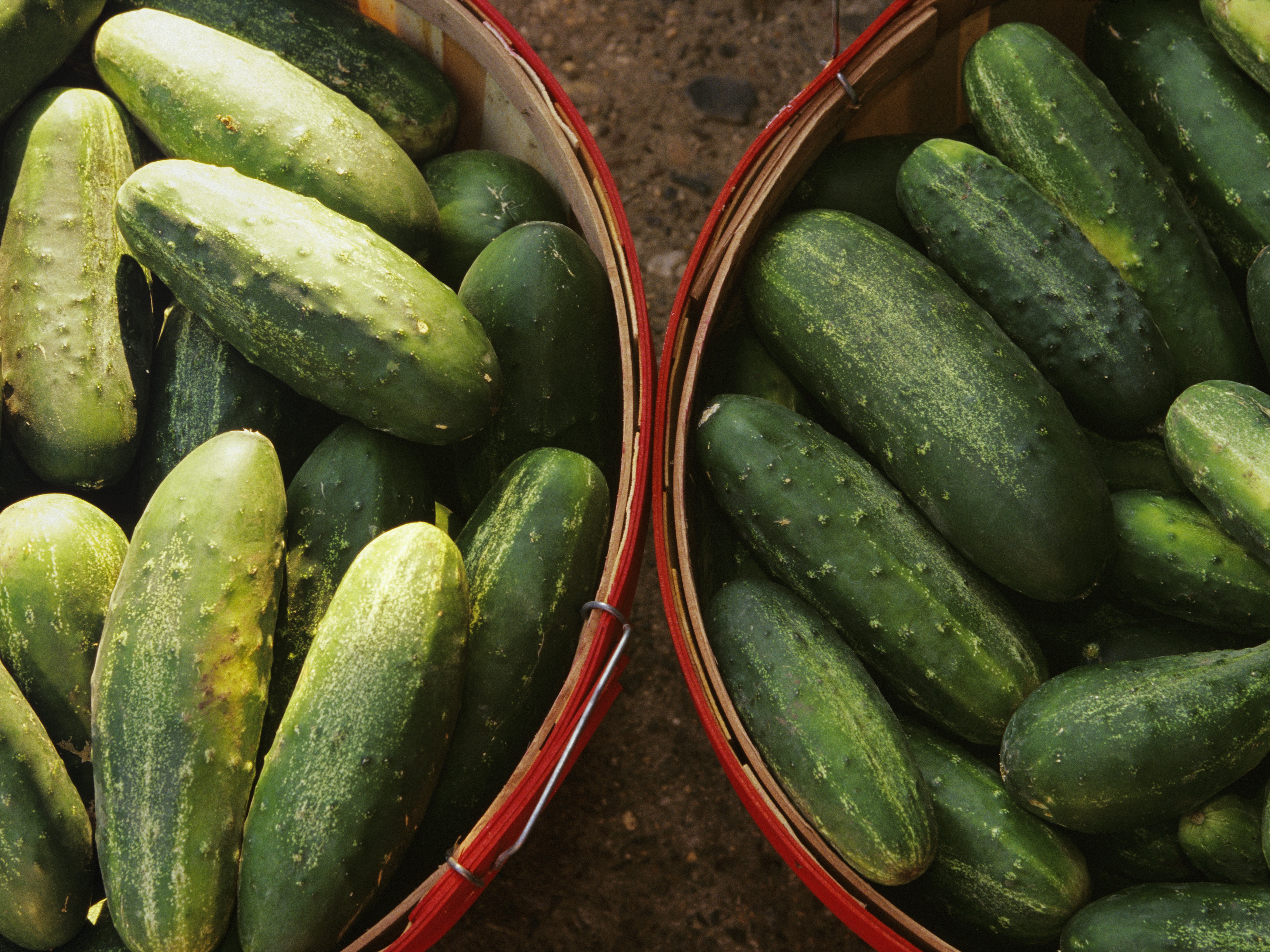 caption: The FDA is warning people not to sell, serve or eat cucumbers grown by Bedner Growers and distributed by Fresh Start Produce Sales between April 29 and May 19.