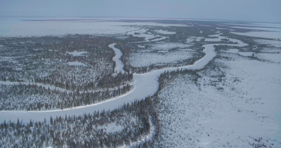 caption: The Churchill River in Manitoba, Canada feeds right into Hudson Bay, a feeding ground for polar bears in the subarctic.