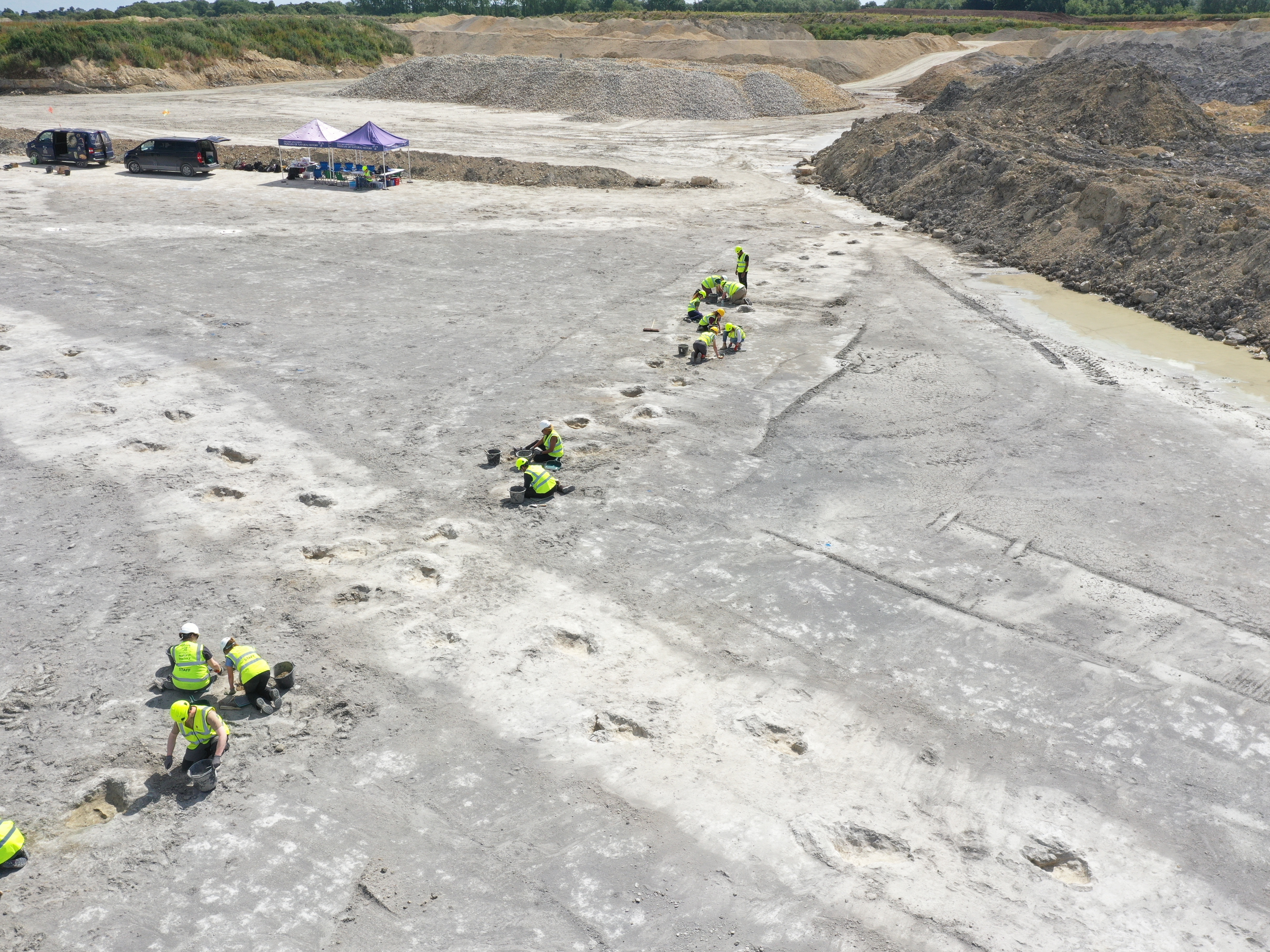 caption: A team of 100 researchers from the Universities of Birmingham and Oxford uncovered around 200 dinosaur footprints along five trackways in southeast England during a week-long excavation in June 2024.