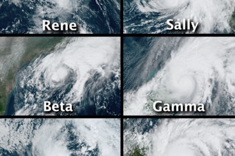 caption: This combination of satellite images provided by the National Hurricane Center shows the 30 named storms that developed during the 2020 Atlantic hurricane season.