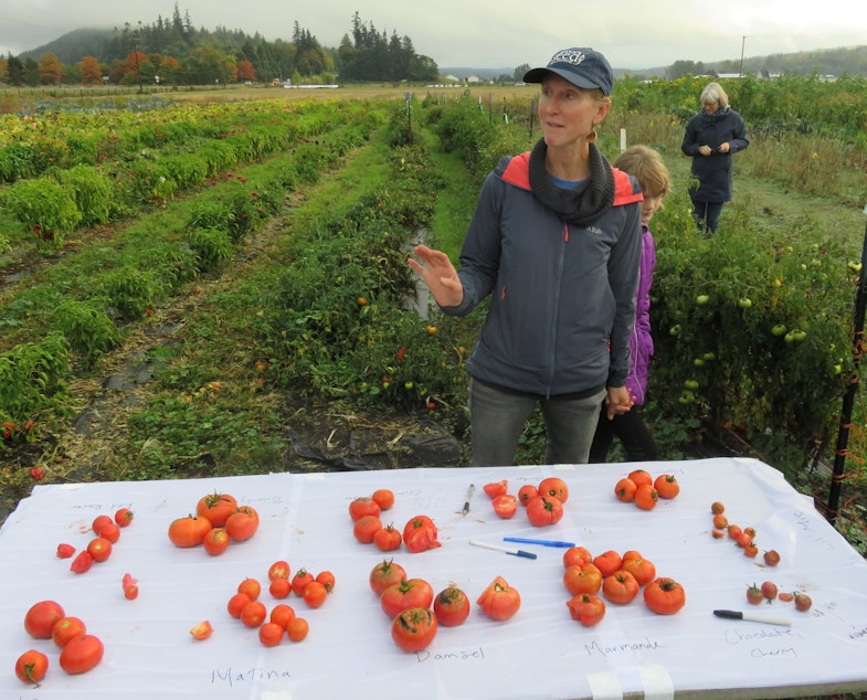 caption: Organic Seed Alliance Program Director Micaela Colley at the nonprofit's research farm in Chimacum, Washington.