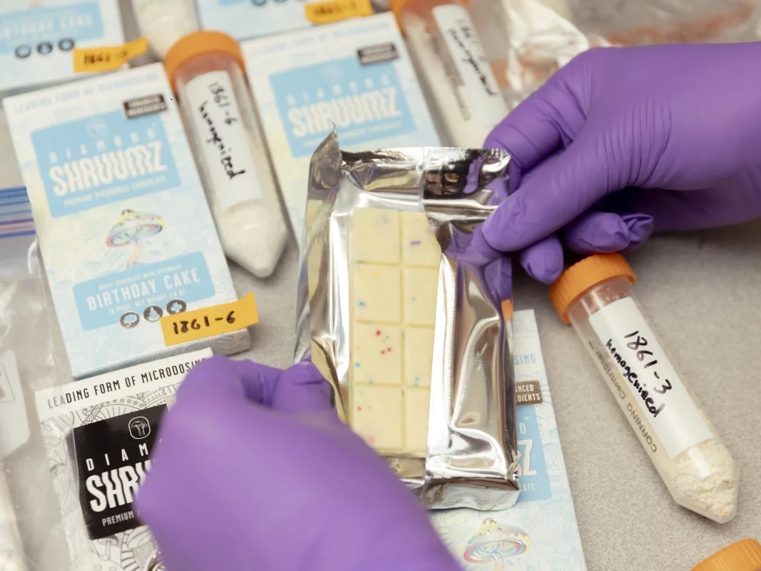 caption: Dr. Roy Gerona contracts with the Drug Enforcement Administration and has been investigating a string of illnesses from mushroom gummies.