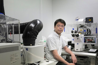 caption: Katsuhiko Hayashi, a developmental geneticist at Osaka University, is working on ways to make what he calls "artificial" eggs and sperm from any cell in the human body.