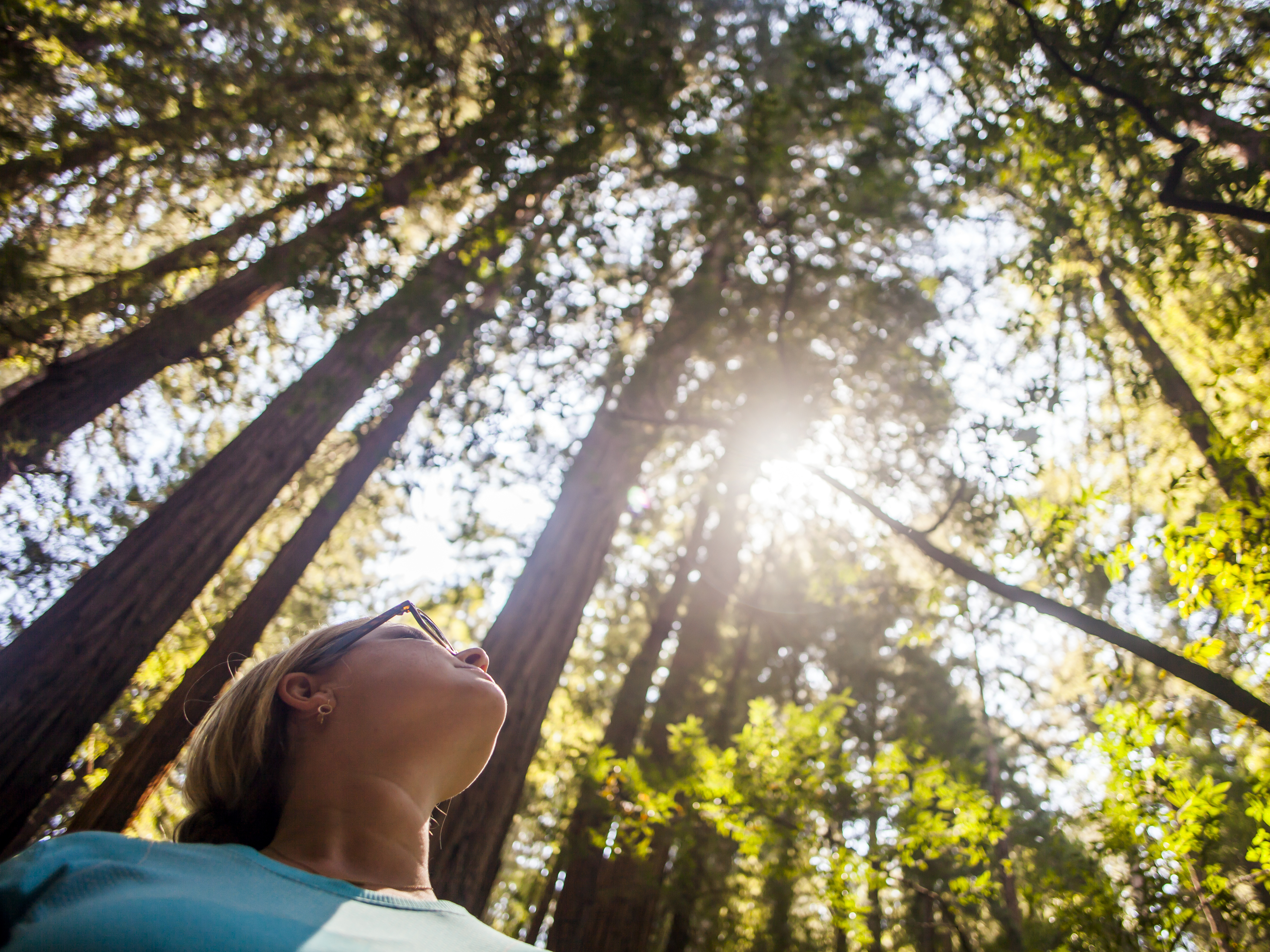 Photograph of a woman surrounded by trees, practicing forest bathing. The photograph is from a low angle looking up at the woman's face and into the towering tree canopy, with light shining through the trees.