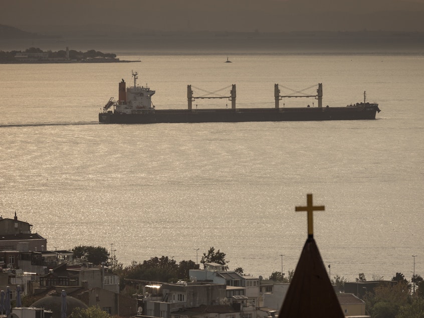 caption: A ship passes through the Bosphorus strait on October 14, 2022 in Istanbul, Turkey.