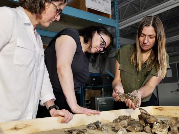 caption: Canadian Museum of Nature researchers Natalia Rybczynski (left), Danielle Fraser and Marisa Gilbert examine the bones of <em>Epiaceratherium itjilik.</em>