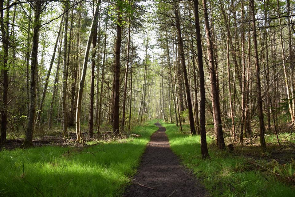 caption: The Bell Point trail in the English Camp National Historical Park on San Juan Island, part of the San Juan Islands National Monument.