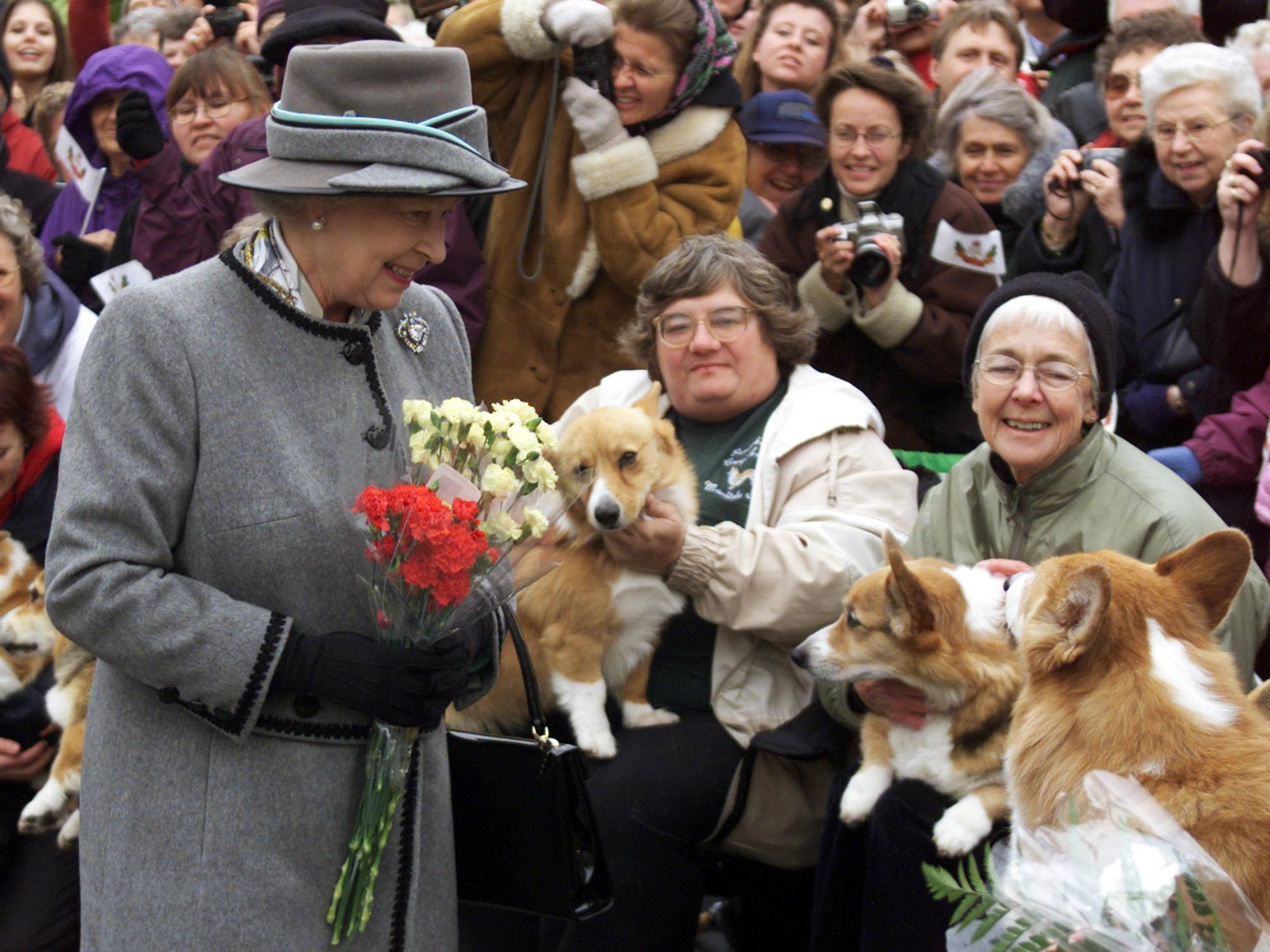 caption: Queen Elizabeth II talks with members of the Manitoba Corgi Association during a visit to Winnipeg, Canada, in October 2002.