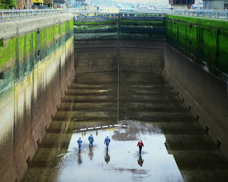caption: The Ballard Locks in Seattle, empty for inspection. 