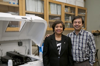 caption: Amit Bandyopadhyay (right) and his wife, Susmita Bose (left) are pioneers in the world of 3-D printed biomedical devices. 